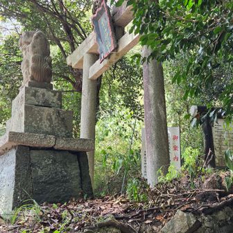 下山
これから10分ロード日陰で良かった🙆
