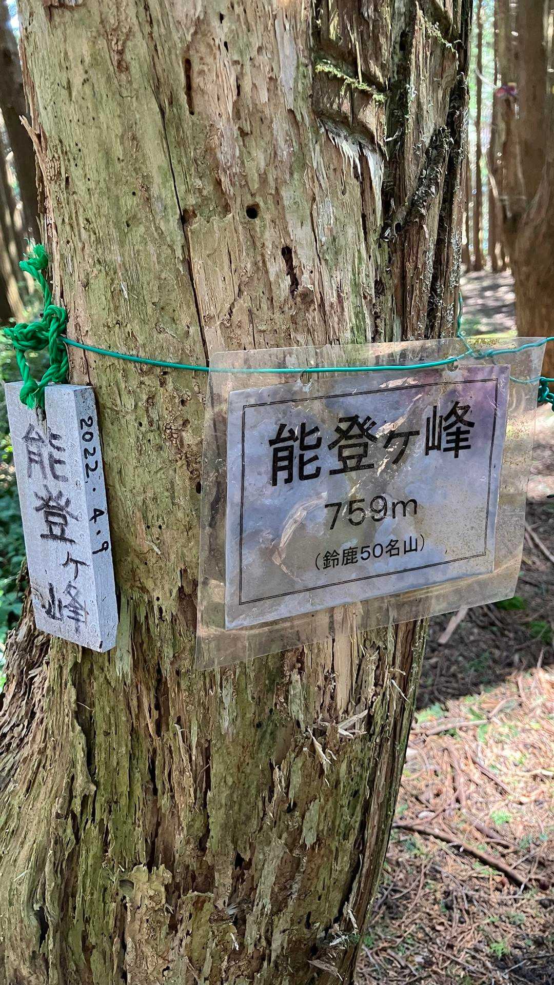 山頂到着。こちらは眺望なし。先に進むと、、。
