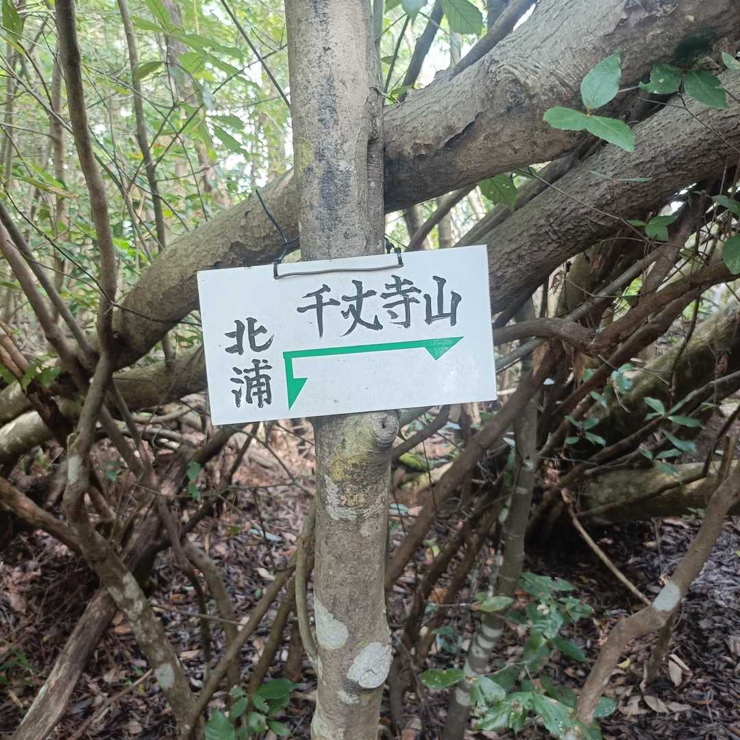 分岐まで来ました😊