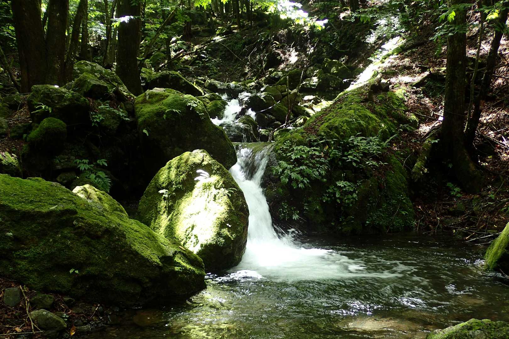 しばらく沢沿いに下る