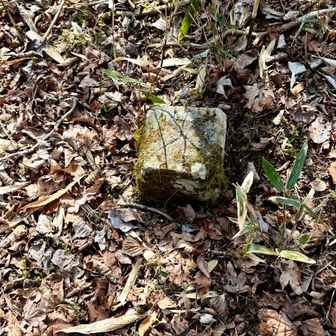 黒岳三角点 標高1,012m⛰️