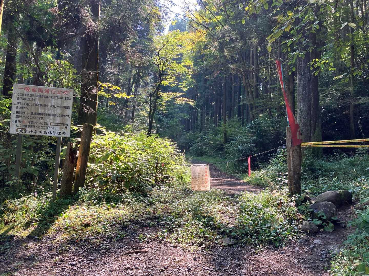 高尾山口駅-草戸山-榎窪山 周回コースの写真