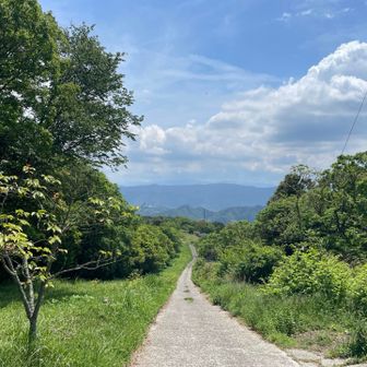 日差しの中をてくてくと下る