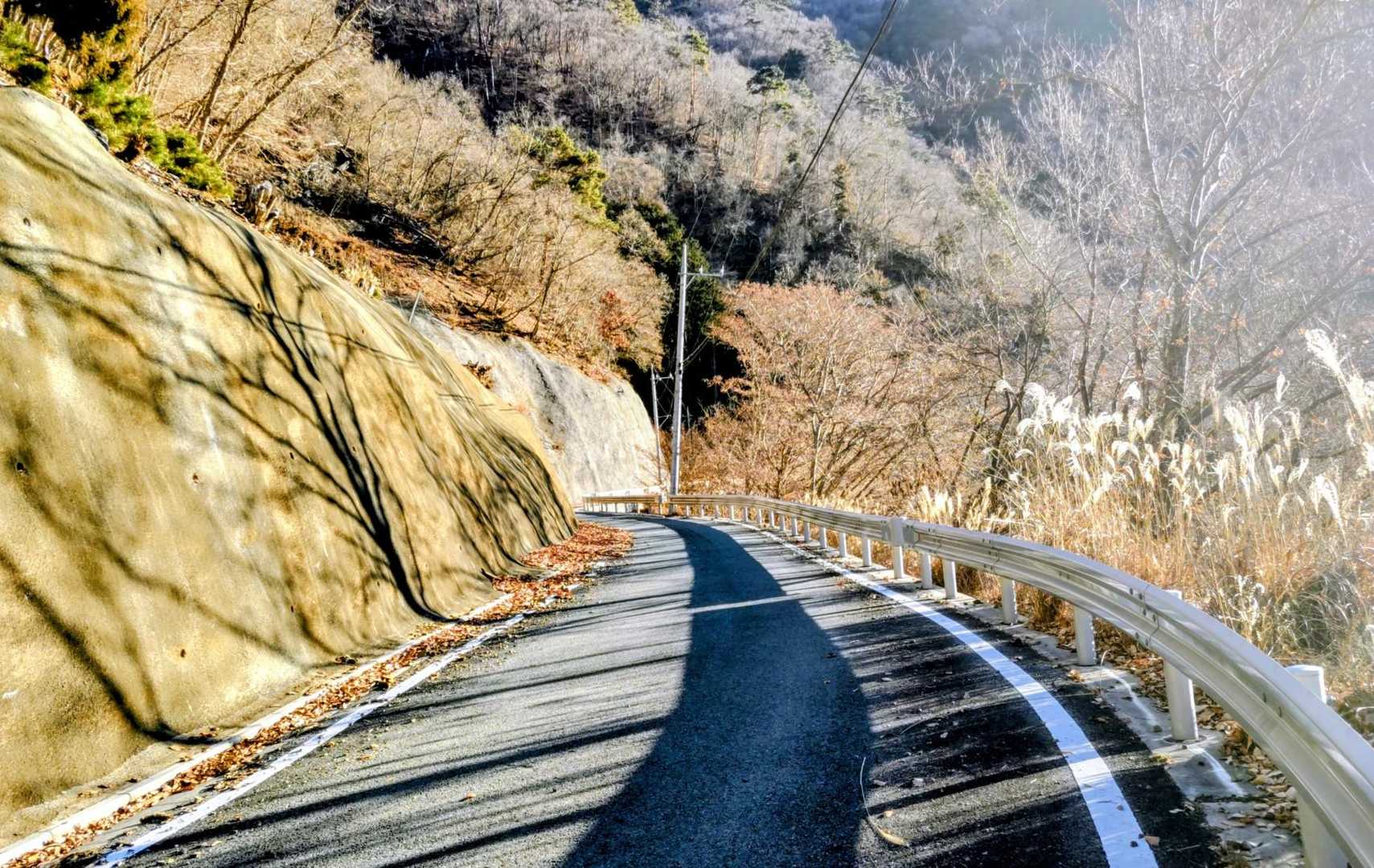 途中ハイカーさんが乗ったタクシーに次々と抜かされる🤣