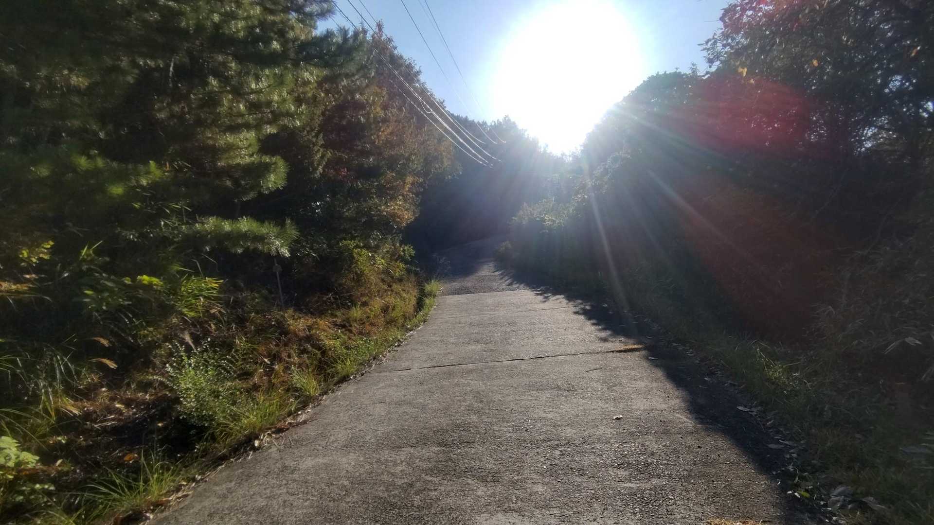 舗装路をトコトコ👣
ちょっと暑くなってきたし誰もいないし、そろそろ半袖だな！
ところで舗装路はどこまで続くのかね(； ･`ω･´)？