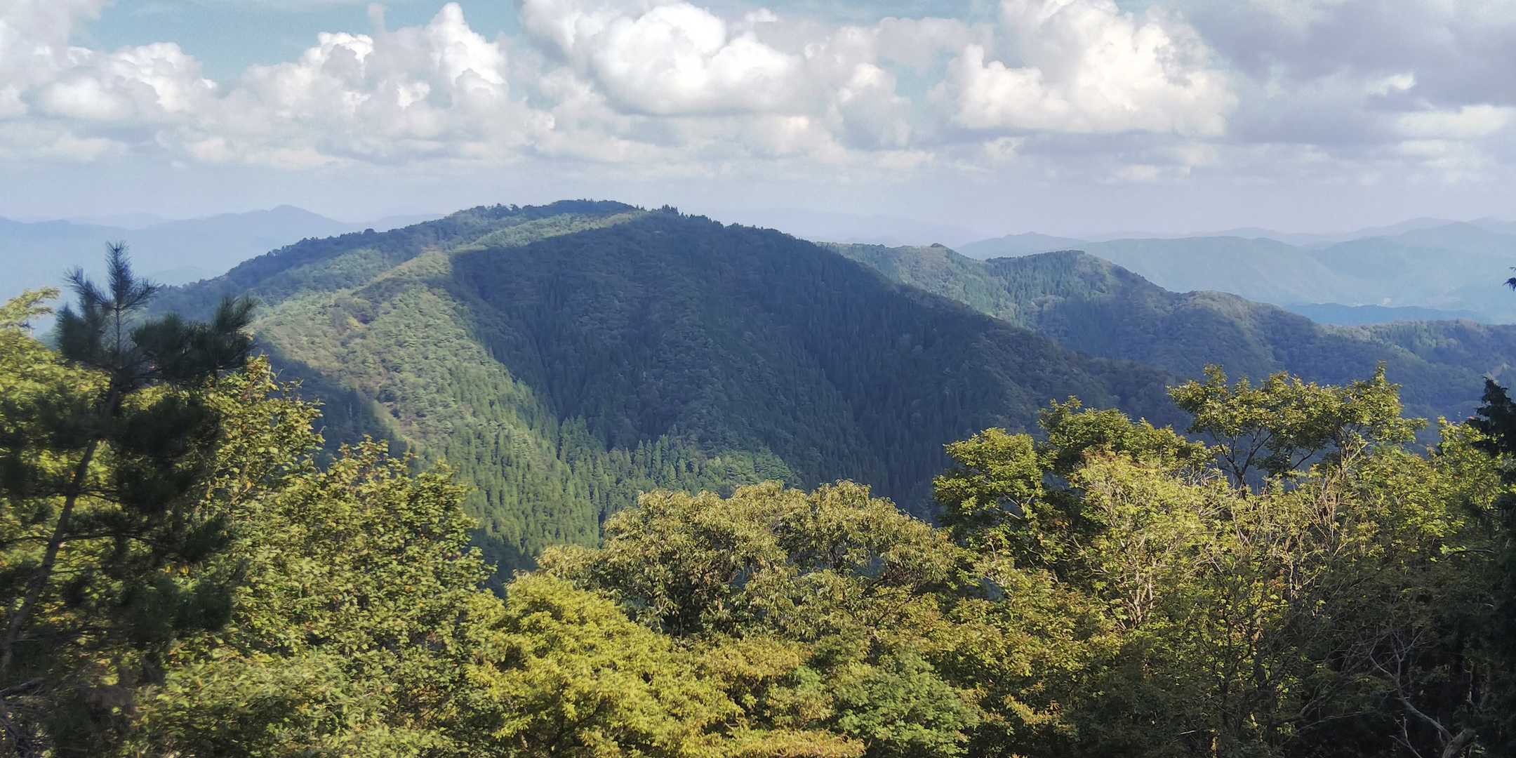 北東
良いお天気