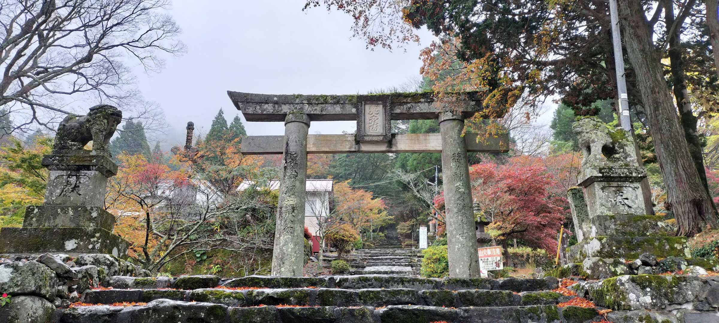 立派な鳥居
お辞儀して 端っこくぐります♪
