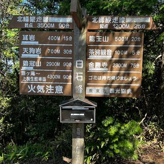 戻って先に進んで白石峰。