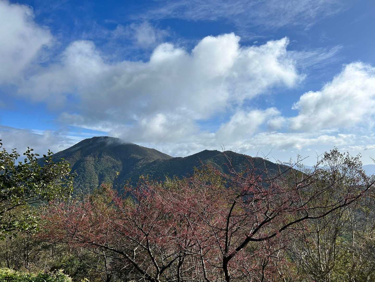 以前登ったお山〜