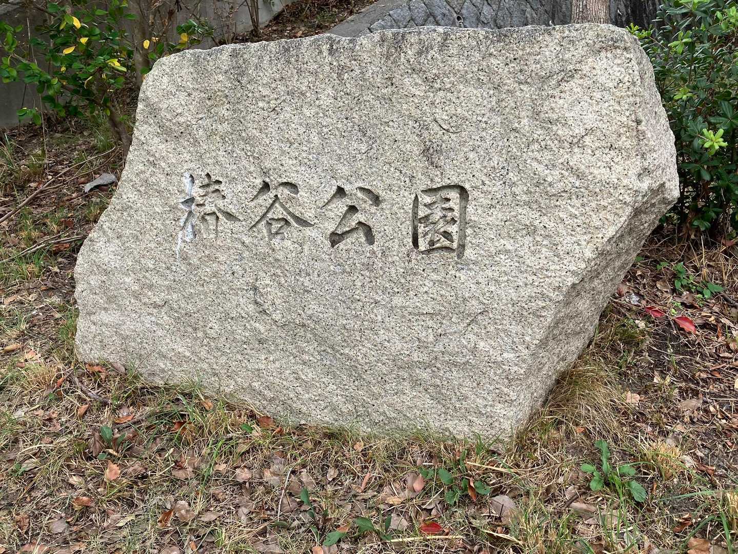 団地内の公園🛝
