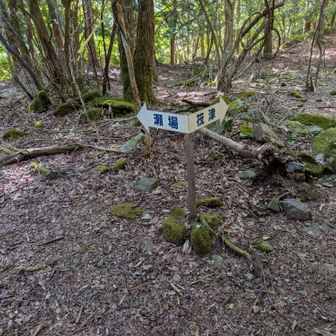 筏津登山口との合流