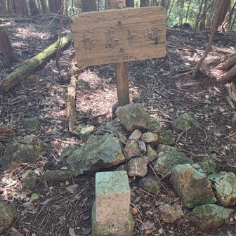 甫喜ケ峰611mとうちゃこ！
三等三角点
点名（平山）
