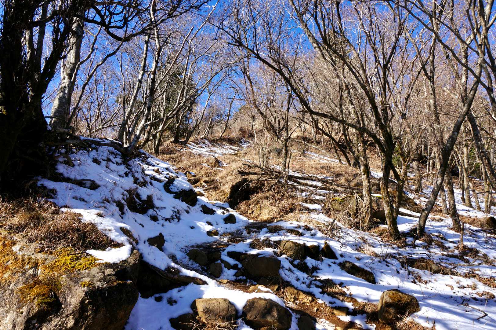 登山道。