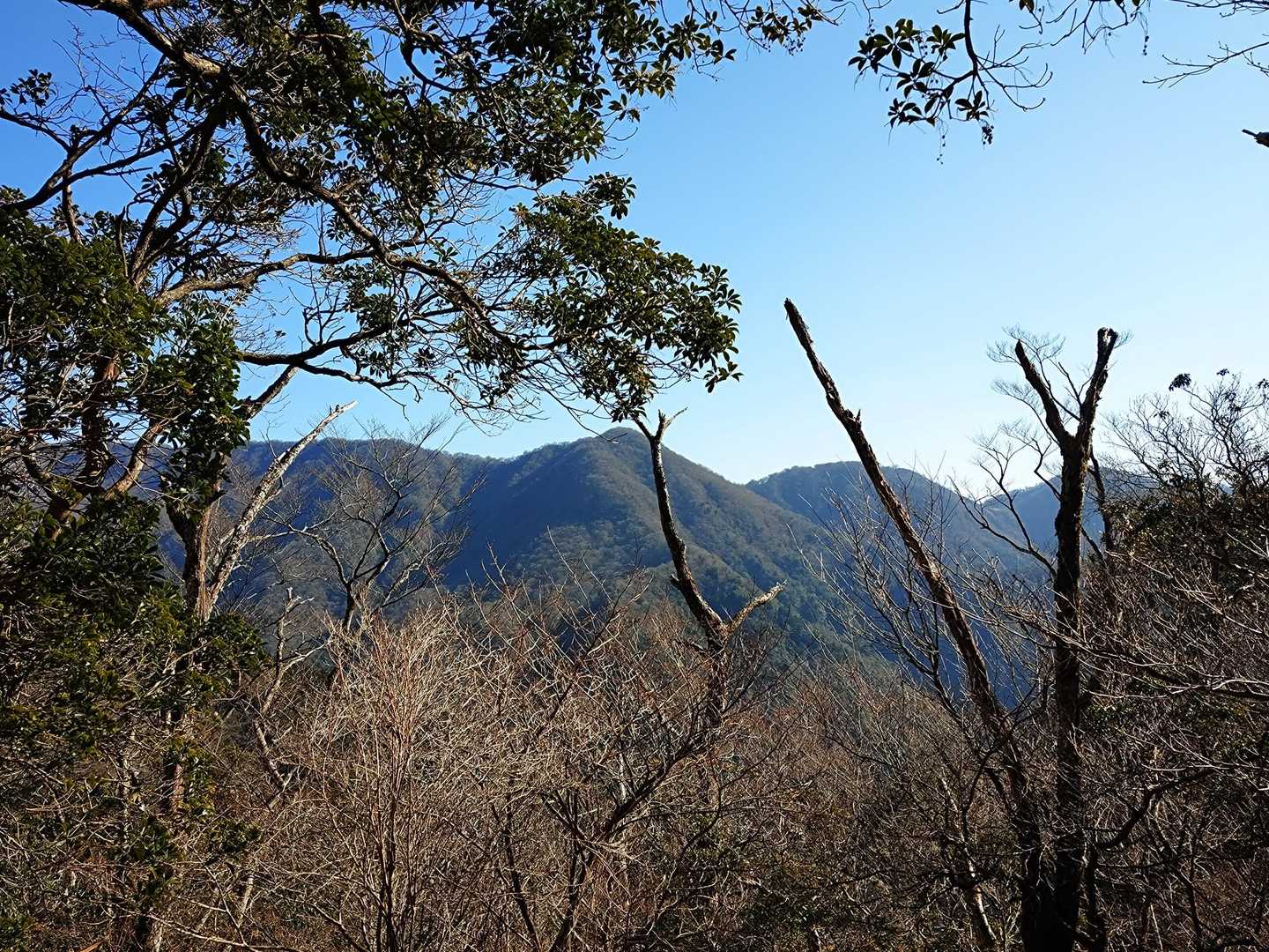愛鷹山塊▲