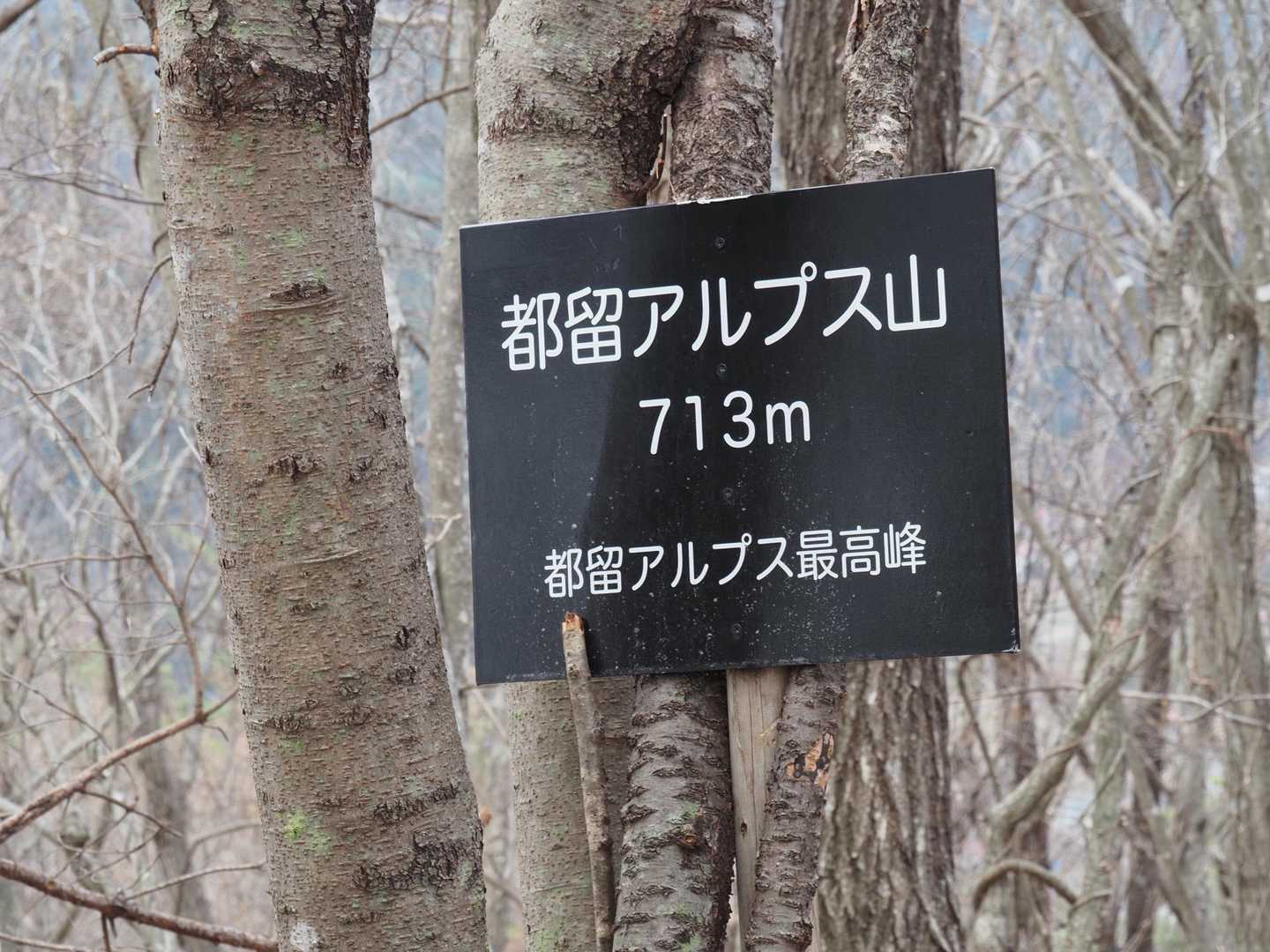 都留アルプス山-天神山-蟻山-都留市駅 縦走コースの写真