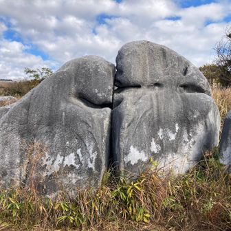 キス岩
とても仲良しです