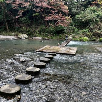 ドレミファ橋

楽しく渡れるのかな
と思ったら

結構川の流れが激しくて
怖かった