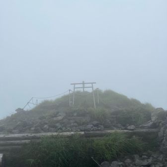 強風🌬️