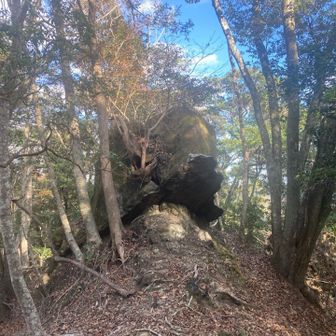 いつもの奇妙な岩🪨
いつも思います
なぜ土台から浮き上がって乗っかっているのか？