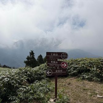 帰りはガスってました。