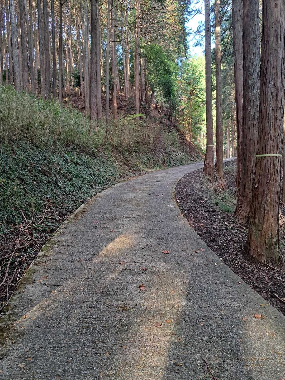 次は御破裂山へ