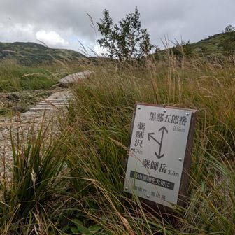 あっちに行って←
こっちから戻ってくる↑