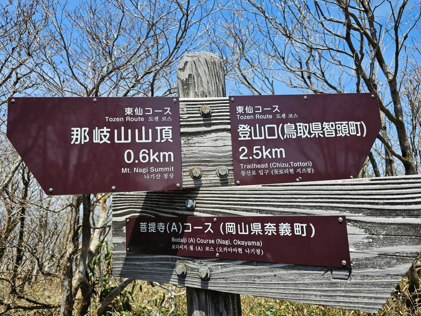 東仙コースから下山
賑わってた登山道からだーれも居ない登山道になります