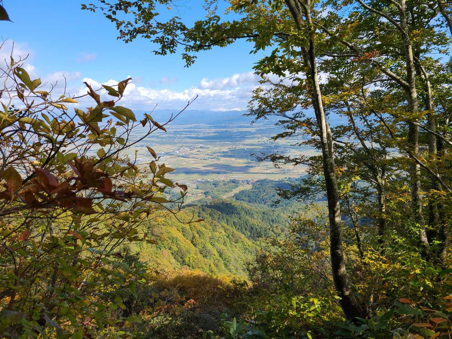 庄内平野
