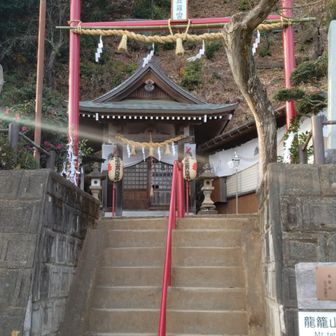 金刀比羅宮。
明日は初詣の人で賑わいます。
牡龍籠山、雌龍籠山に登る予定でしたが、車の迎えの時間に間に合わないため、割愛して駐車場へ直行。
牡龍籠山は山頂認定されてます。