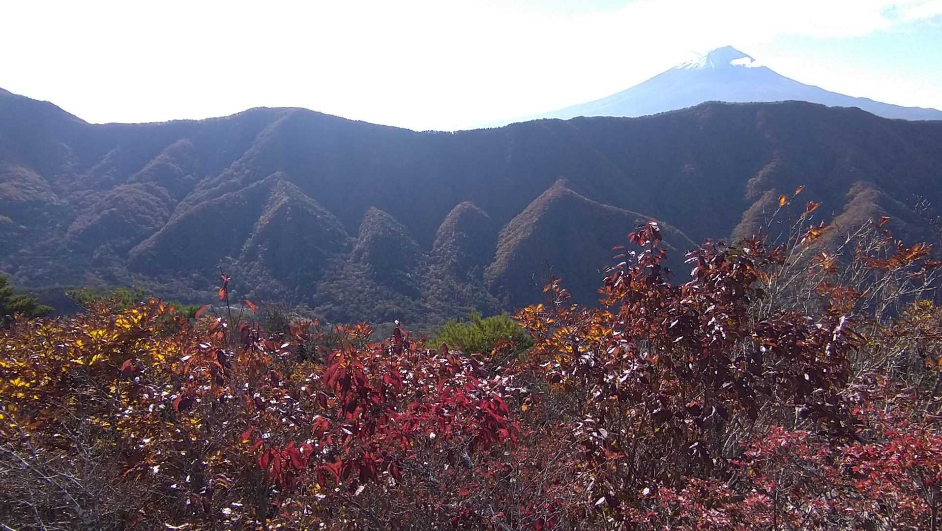 色づく木々と・・