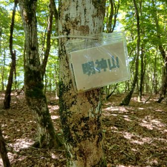 明神山についた