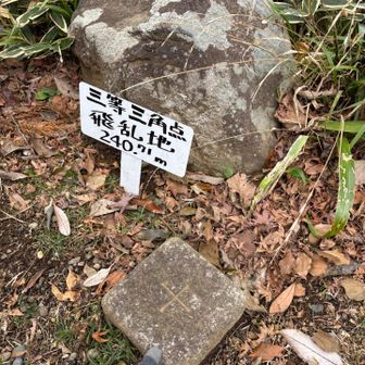 三角点タッチ👆