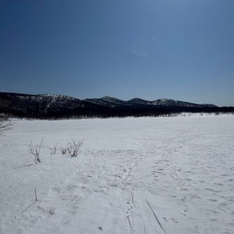 一応凍ってるけど、歩けるのかな…
トレースあるけど…
落ちたら怖いのでこの辺まで。