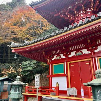 紅葉が僅かに残っています。