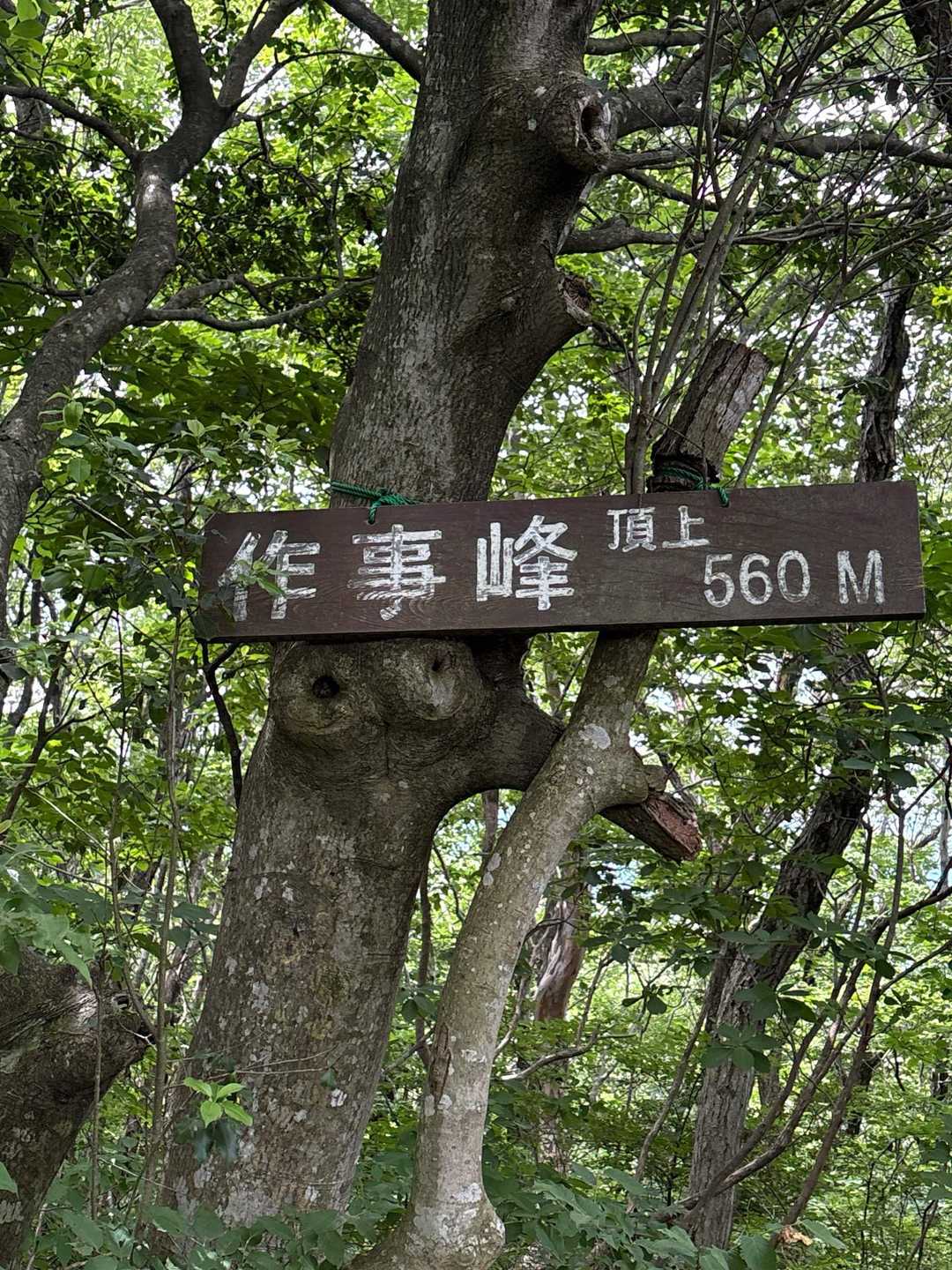 大倉岳 周回コースの写真