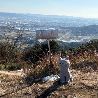 あっという間に頂上🙌