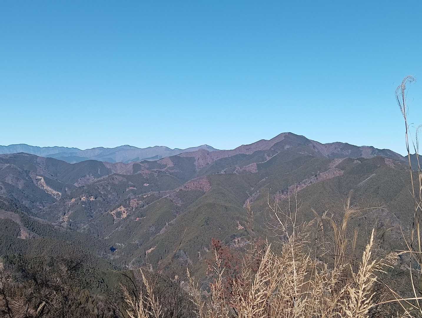 笹平バス停-松生山登山口-内蔵ノ助山-払沢ノ峰-天領山-上 縦走コースの写真