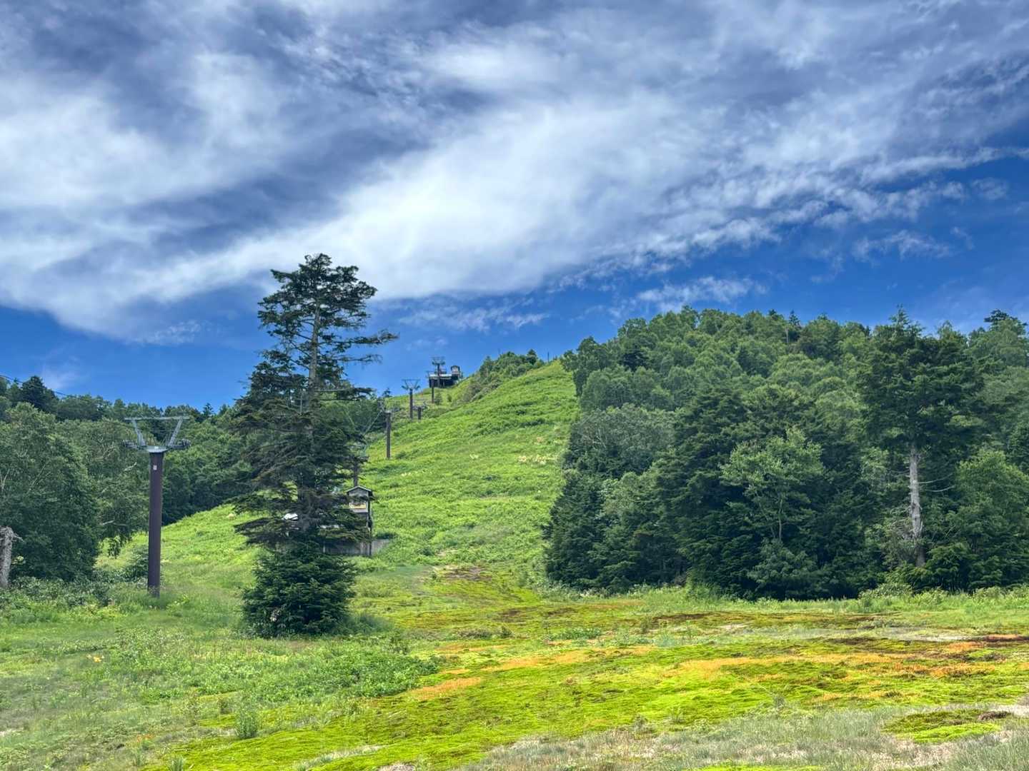 笠岳峠-笠ヶ岳 往復コースの写真