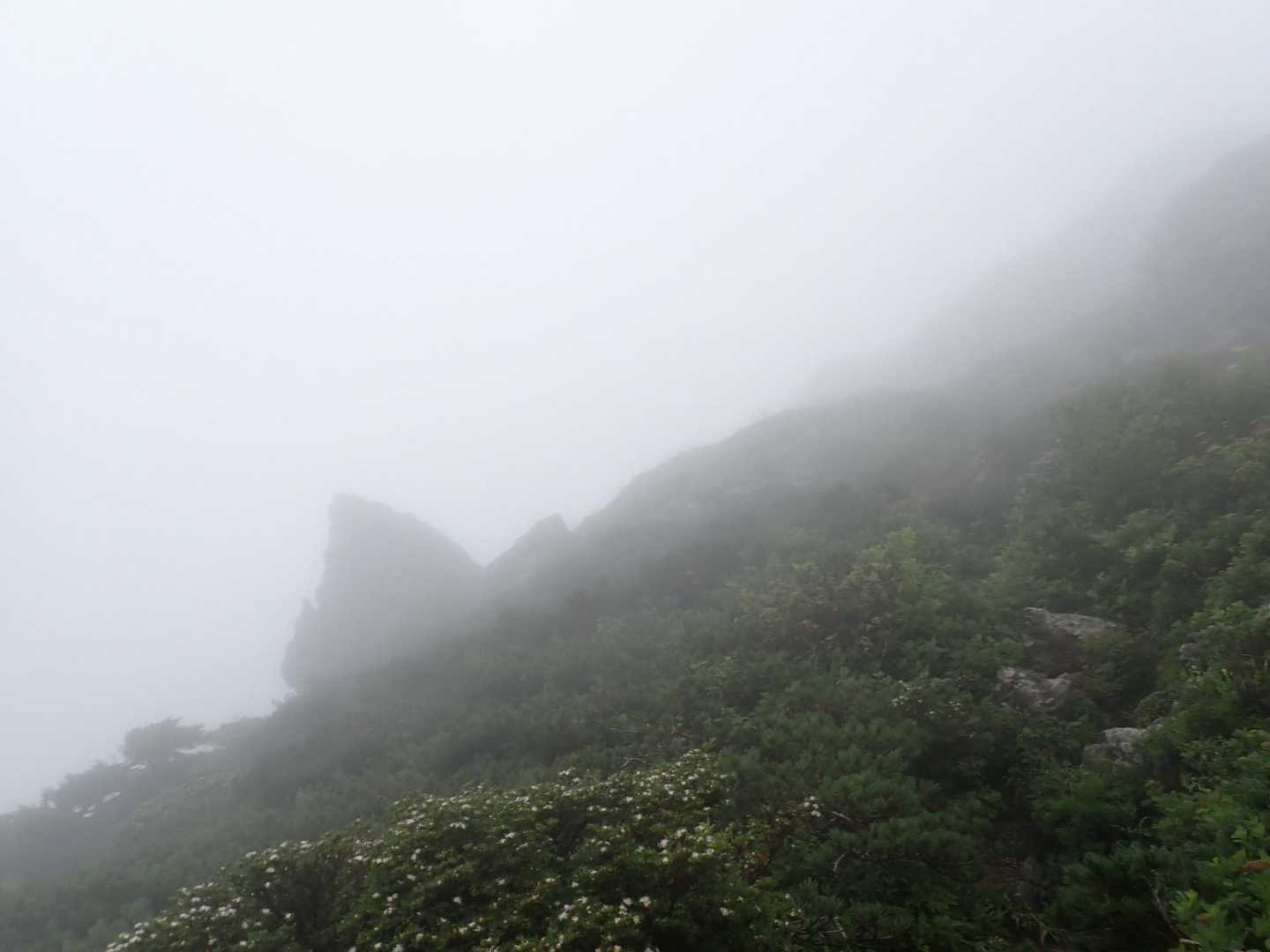小田越-早池峰山-中岳-鶏頭山 縦走コースの写真