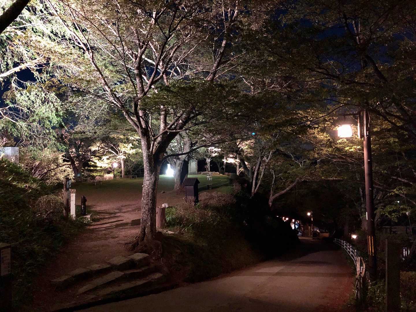 ポツポツと、夜桜を見にくる人たちとすれ違い