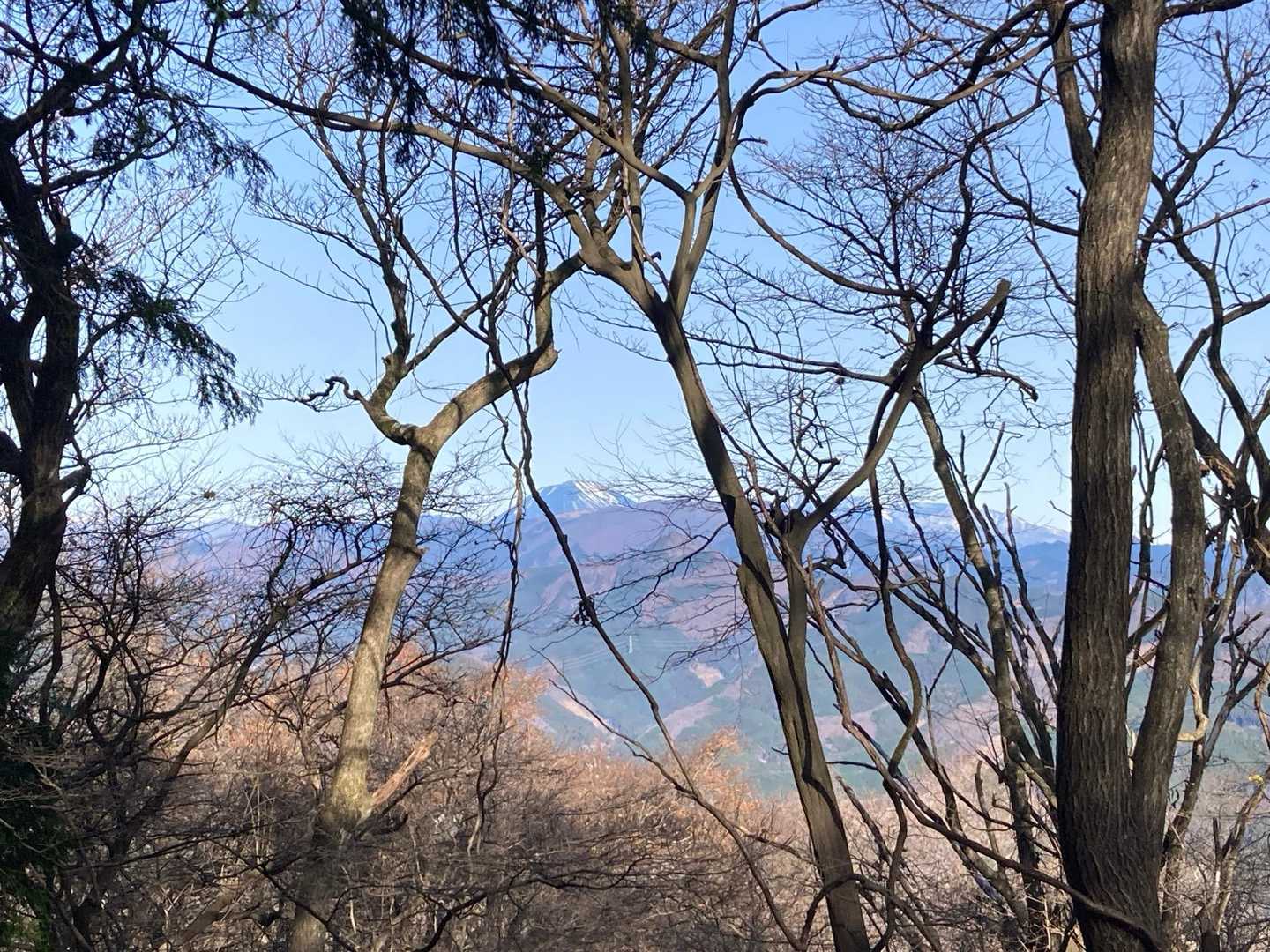 木々の隙間から男体山が見えました。