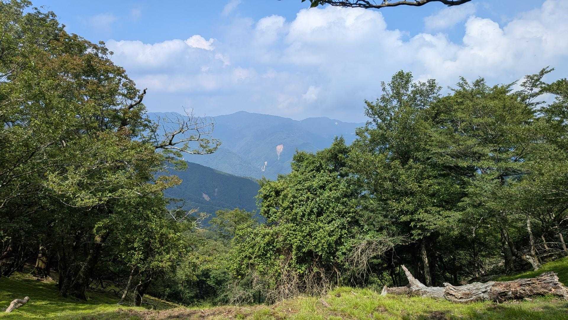ゴボウ畠登山口-小川岳-トンギリ山 往復コースの写真