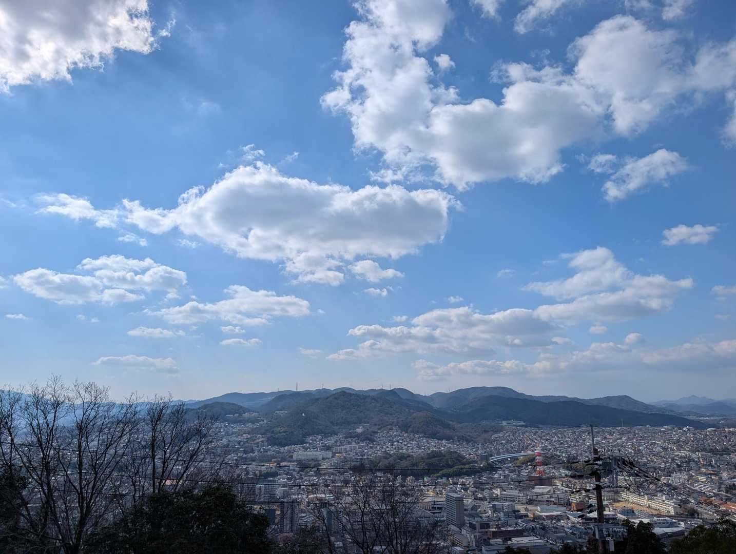 五月山 往復コースの写真