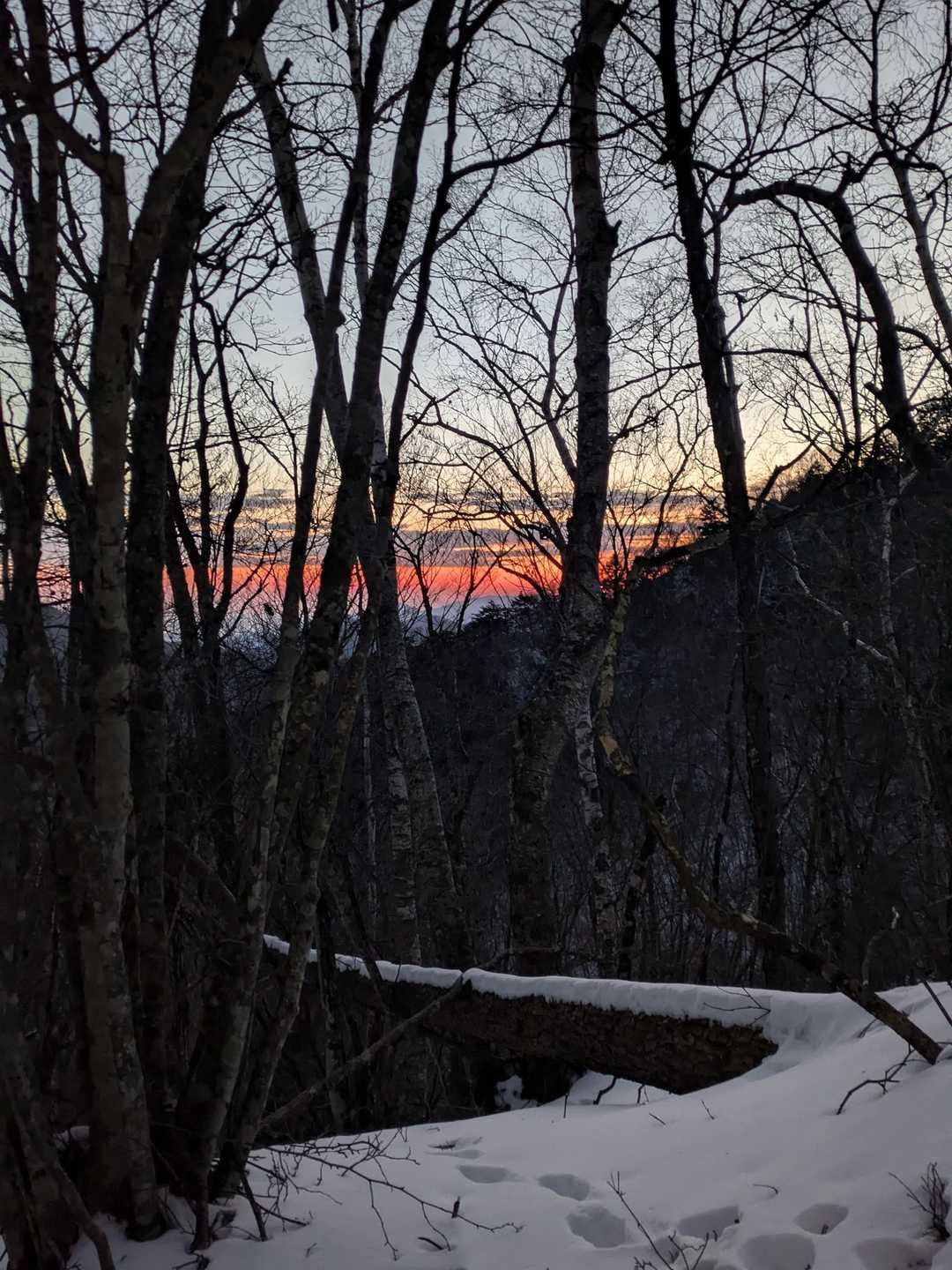 朝焼けの空🌅