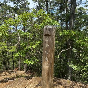 日和田山🎶
賑わってる🎒🍙