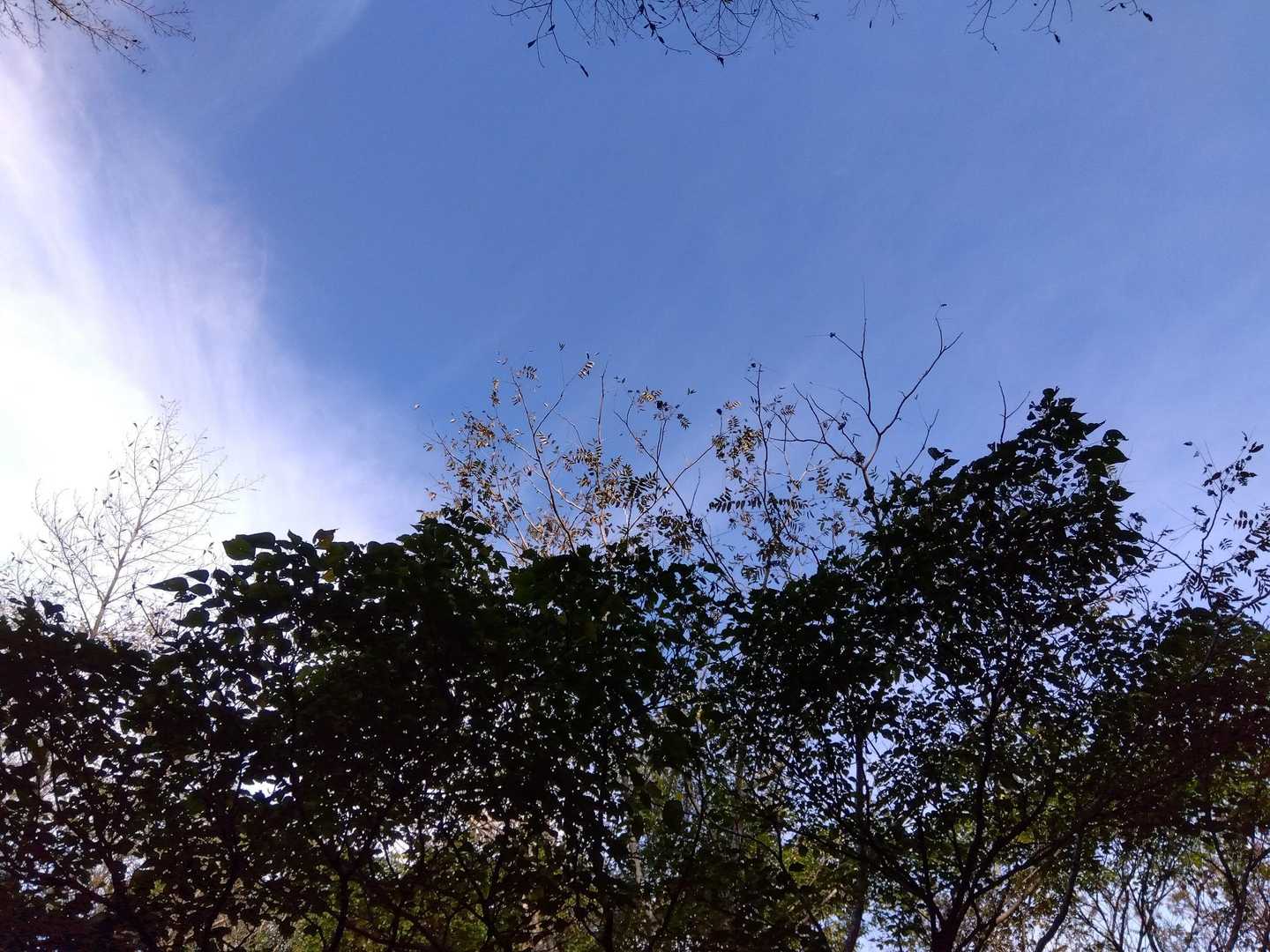 青空☀️