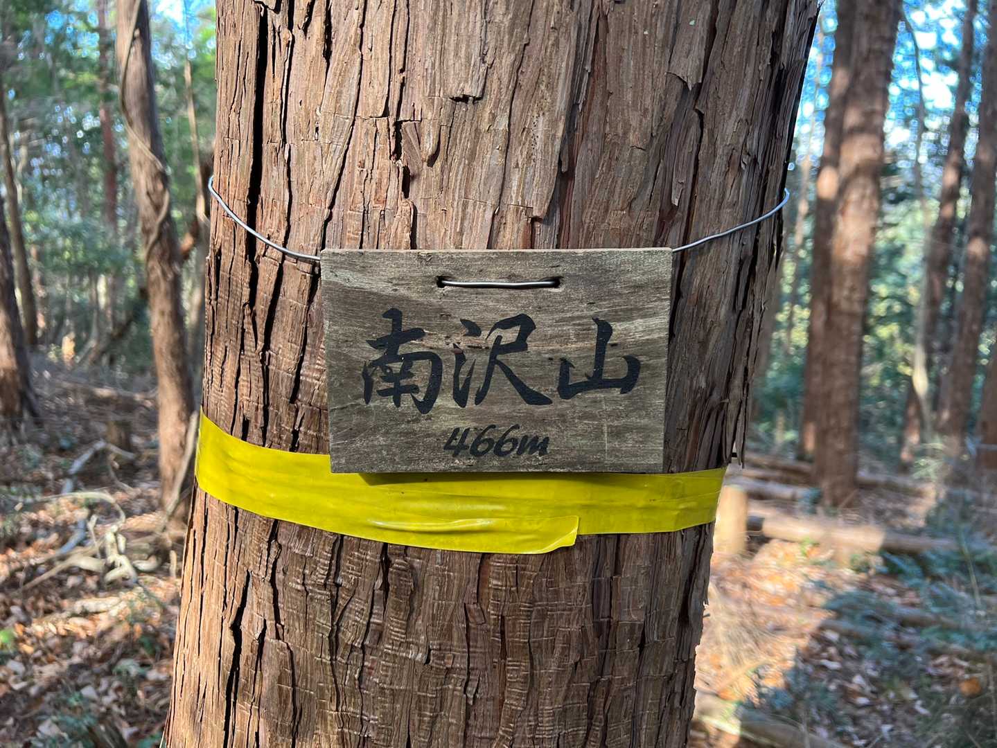 南沢山⛰ 飯百その6