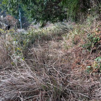 なかなか進まない🤣