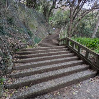 初めの方は階段がいっぱい…