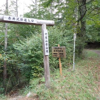 ここからさらに下り